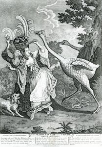 De gevederde vriend in een schrik, 1779